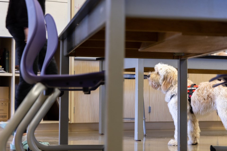 pawzitivity_menlopark_2023_web-5