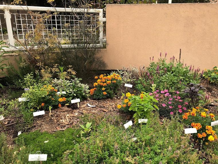 san-carlos-herb-garden