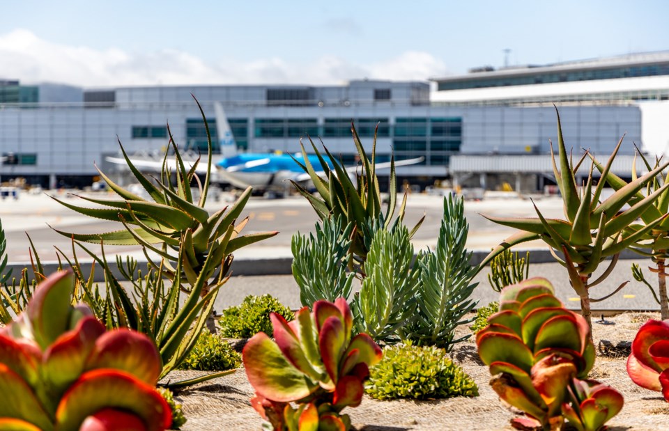 sfo-1