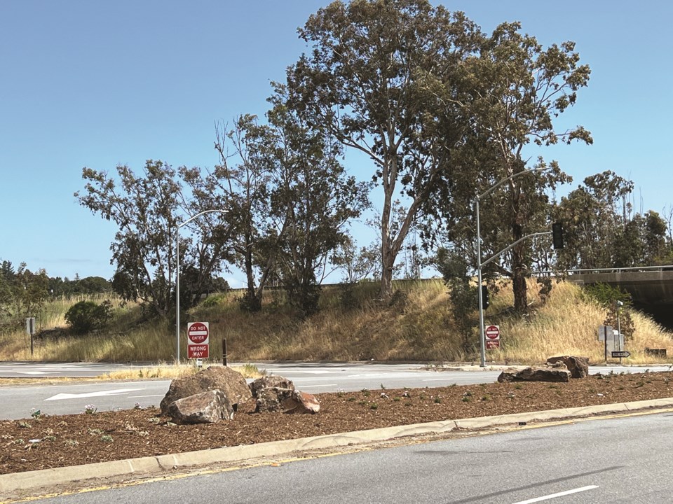 woodsidemedian_01_katedaly-1-print