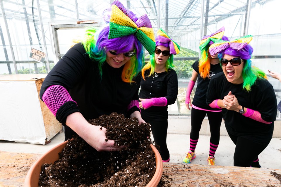 Colourful, costume-wearing teams will once again
criss-cross the county, raising money for Sarnia-Lambton charities and highlighting local
businesses during the 16 th Race to Erase fundraiser, which takes place on May 25.
