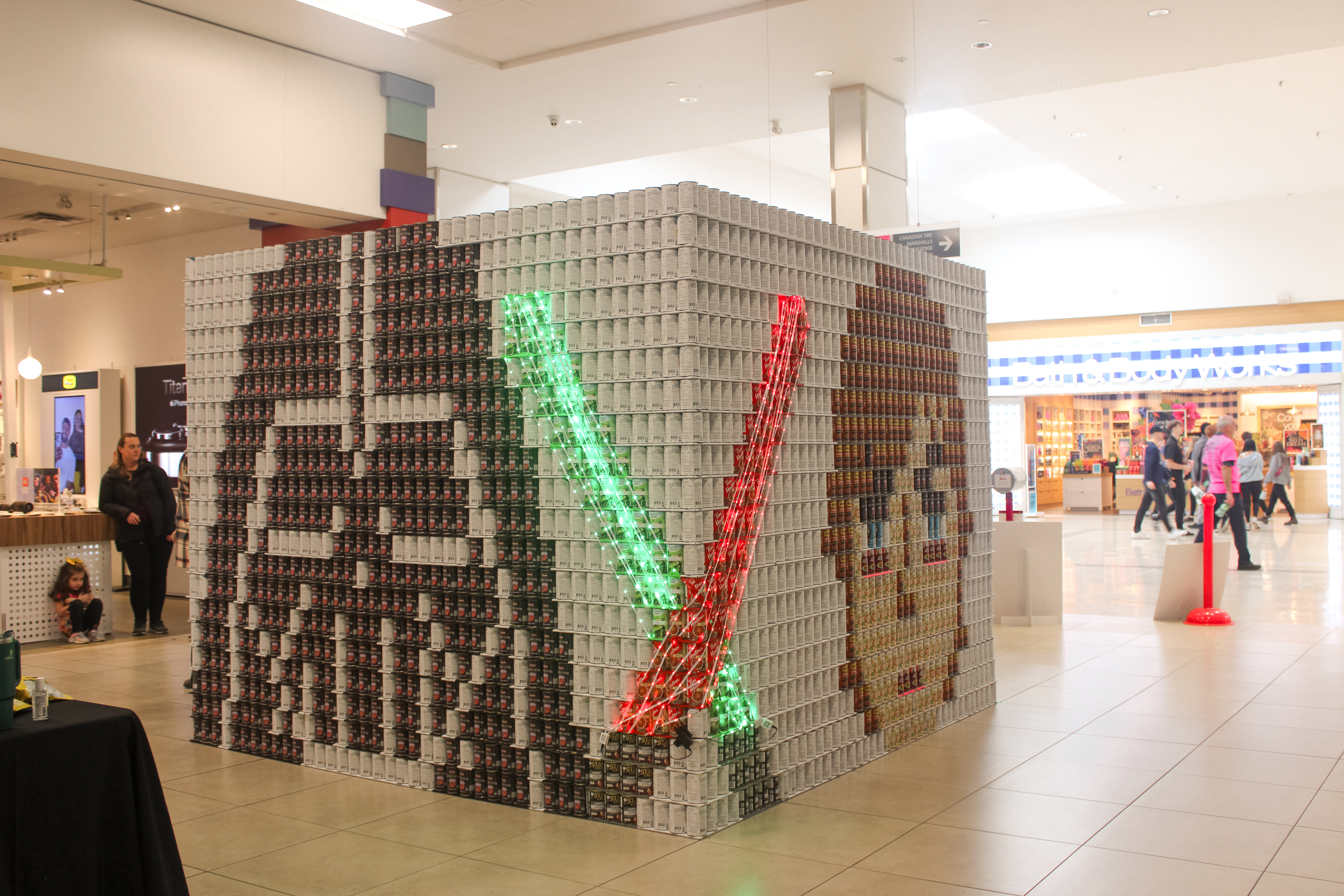 CANstruction Sarnia