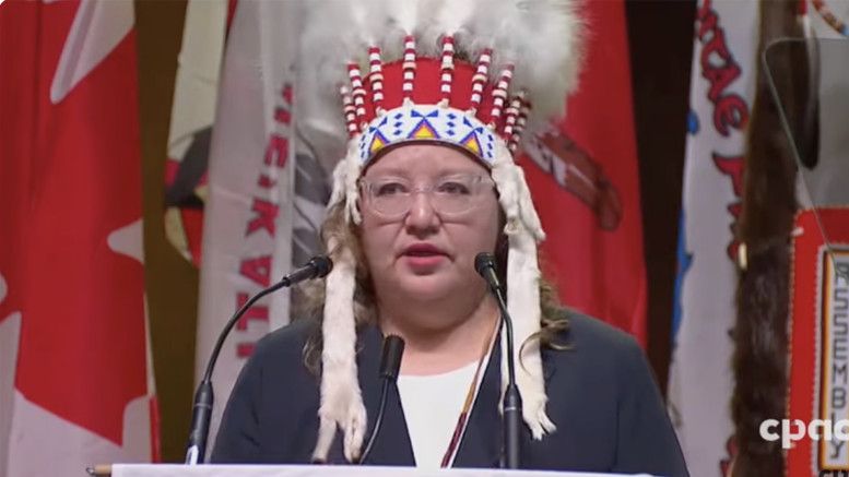 afn-national-chief-777x437