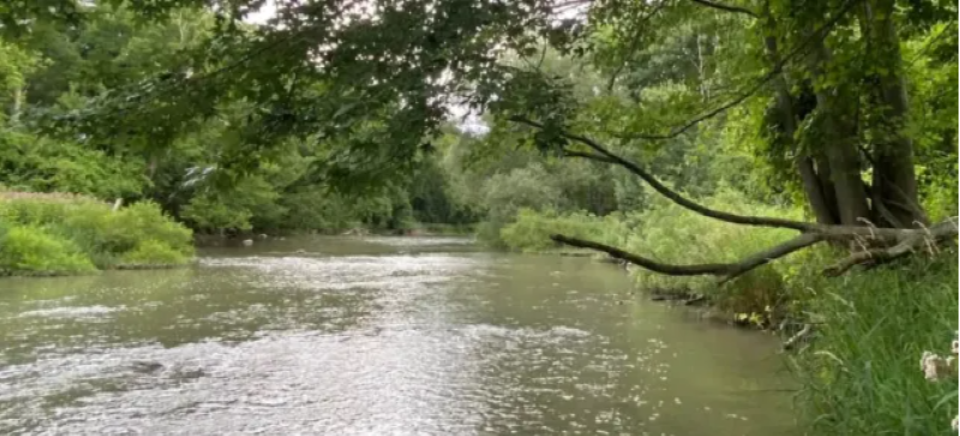 sydenham-river