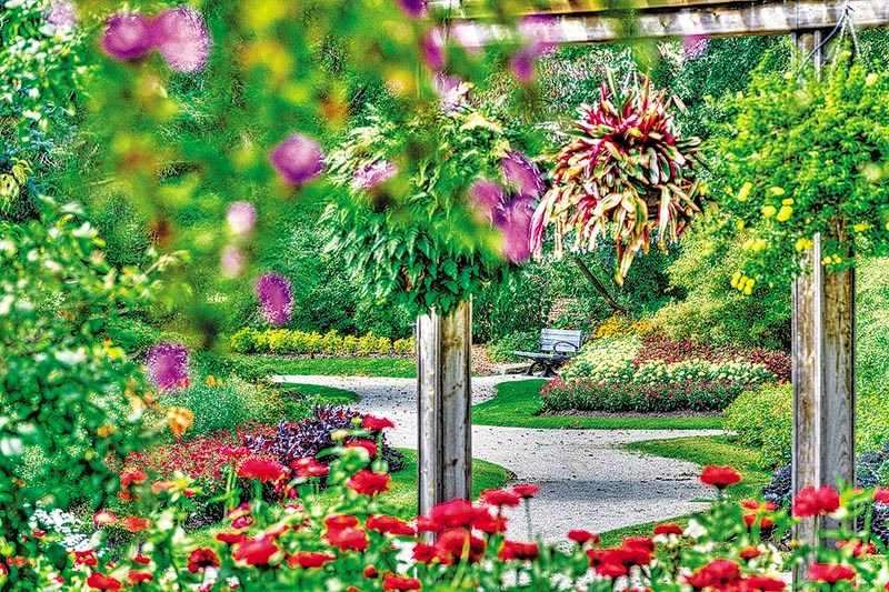 The existing floral gardens in Germain Park are awash in colour right now. Glenn Ogilvie