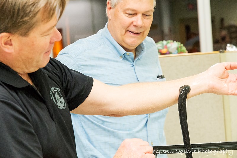 A sea lamprey attaches to the arm of Jim Campbell, with Paul Sullivan looking on. Glenn Ogilivie