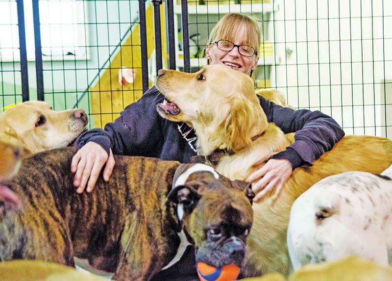 Operations manager Tabby Haywood gets a friendly mobbing at the The Dog House. Glenn Ogilvie