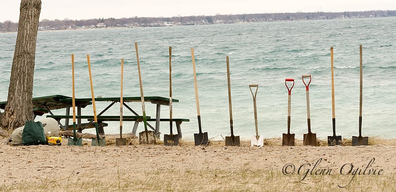 Shovels lined up and waiting to be used for planting dune grass. Glenn Ogilvie.