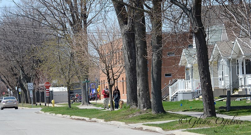 Talfourd Street, Sarnia