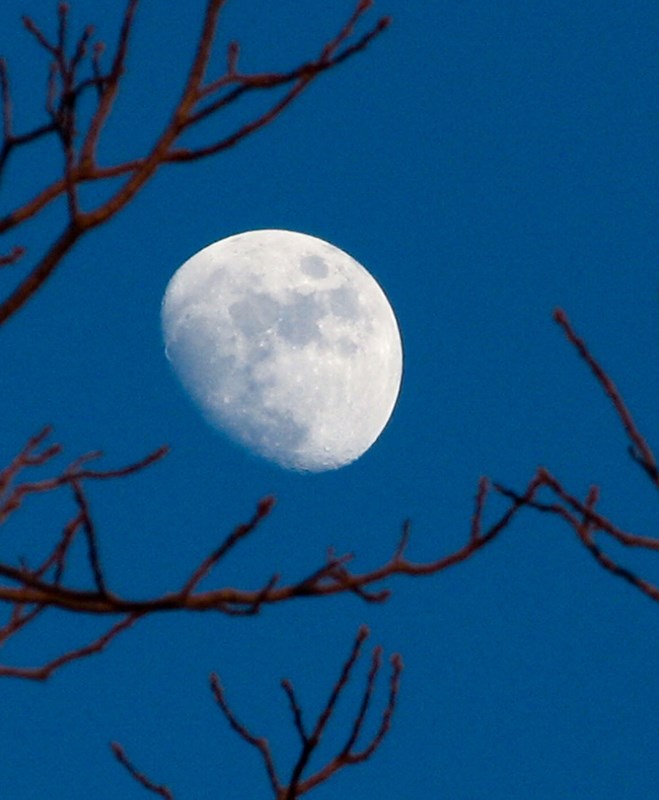Photo of the Moon, courtesy of Laura Austin