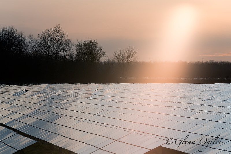 Sun shining on the Enbridge Solar Farm, located on Blackwell Sideroad. Glenn Ogilvie