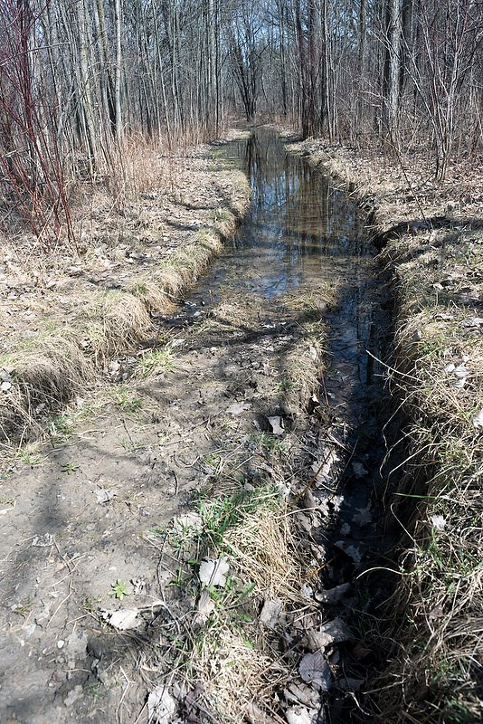 A trail at Perch Creek rutted in spring by illegal ATV use. Glenn Ogilvie