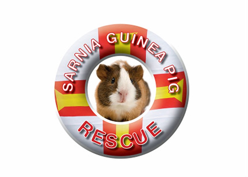 guinea