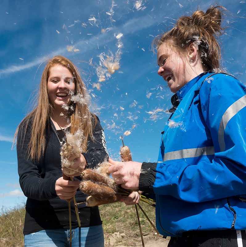 Releasing cattail seed proved to be a fun if messy job for St. Clair Secondary students Laura Crozier, left, and Holly Shelton, who were participating in a wetland restoration project at the Enbridge Sarnia Solar Farm. Glenn Ogilvie