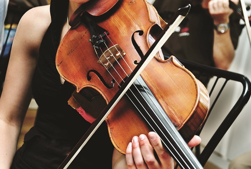 Violin musician