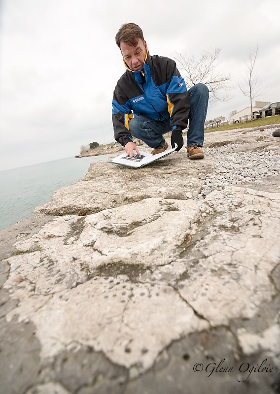 Fossil hunter Adam Wisniewski checks the remains of giant coral head.  