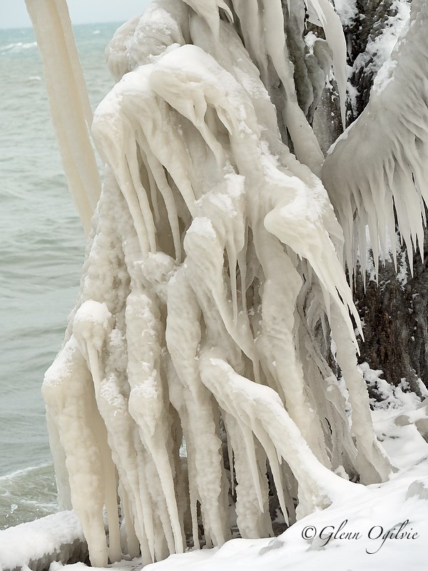 A winged figure conjured up from lake spray adorns this ice-covered tree. Glenn Ogilvie 