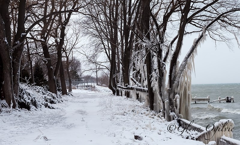 The Lake Huron shoreline between Telfer and Brigden roads is some of the most vulnerable to erosion in Sarnia. Parts of the old Lakeshore Road right-of-way, seen here near the mouth of the Cull Drain, have already been swallowed up by the lake, city hall says.