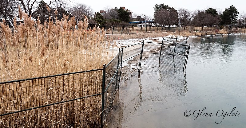 Centennial Park fencing along shore of Sarnia Bay