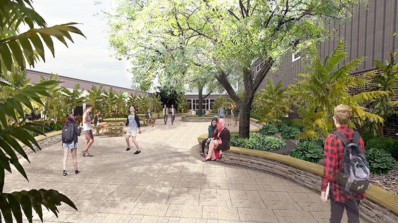 An artist concept of a revitalized outdoor couryard, as seen from the west entrance, at Northern Collegiate. Ellwood Architectural Design and Sonny Parkes Landscape Arboriculture