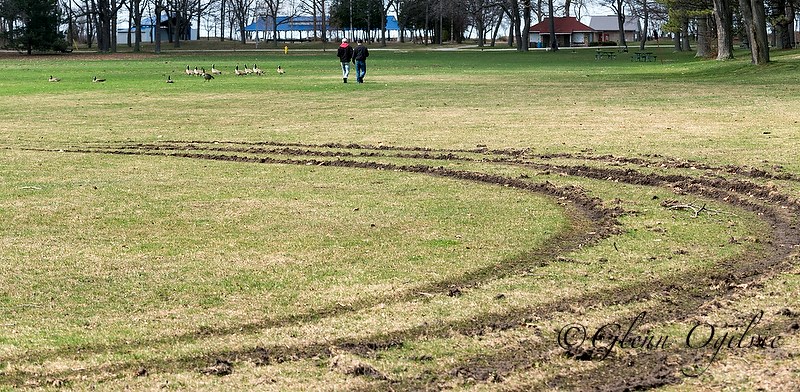 Visitors Jacob Hart and Brandon Bechard cross the centre field at Canatara Park, one of two city parks that suffered widespread damage from vehicle tracks recently. Glenn Ogilvie
