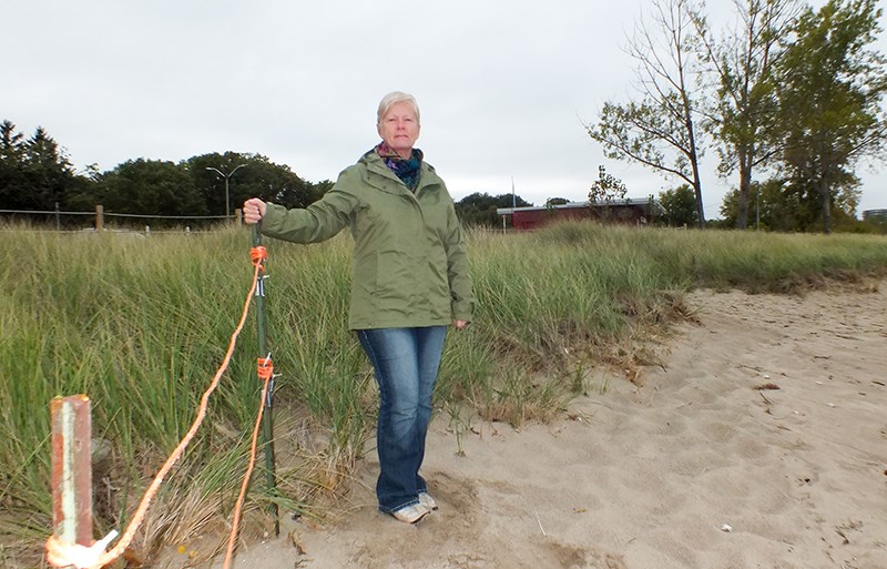 Kim Gledhill stands beside a stand of beach grass at Canatara Beach.Pam Wright