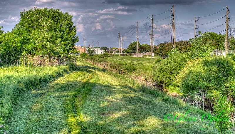 Drainage ditch between Howard Watson Trail, located just south of London Road.