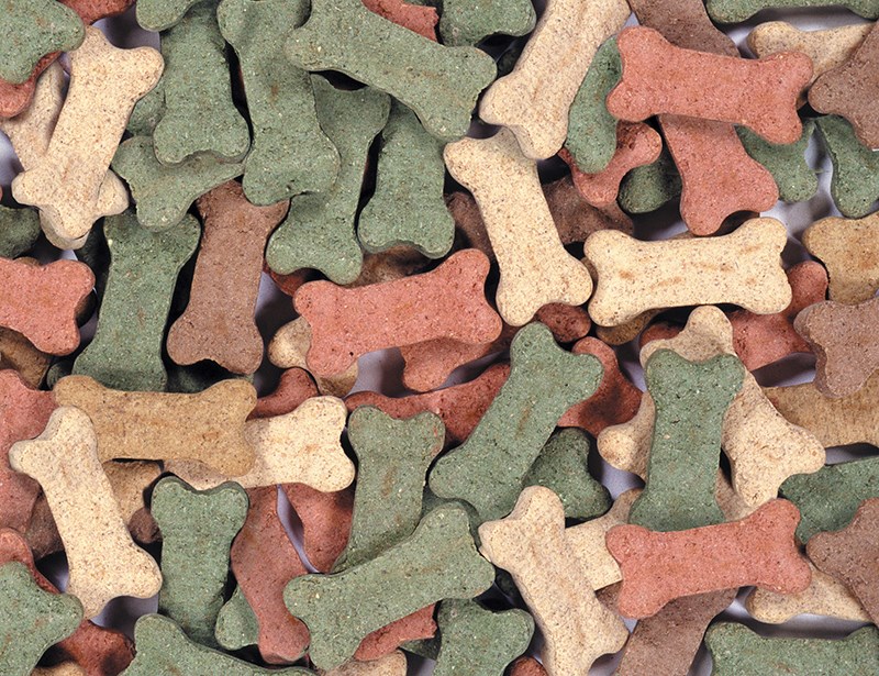 dog-biscuits
