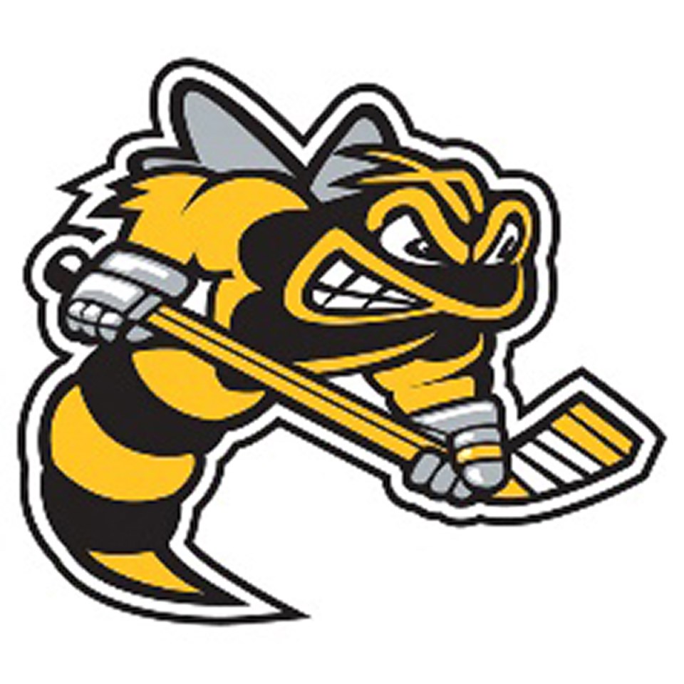 Sarnia Sting logo