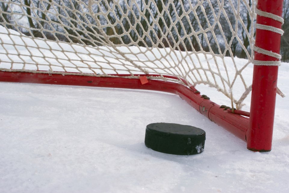 hockey puck net
