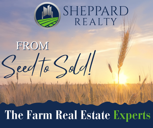 Sheppard Realty