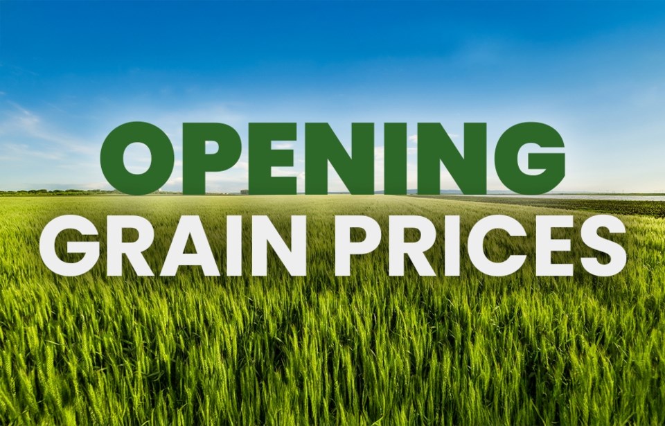 grain-open-price