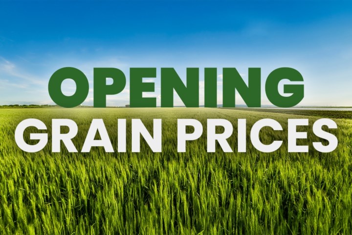 Opening Grain Prices Tuesday, May 27