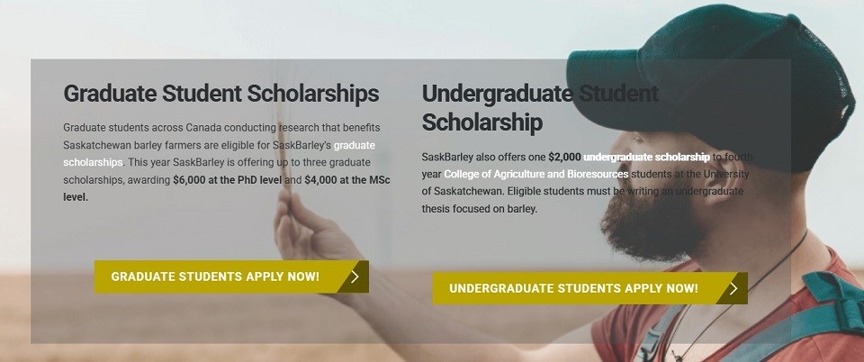saskbarley-scholarship-screenshot-saskbarley-website
