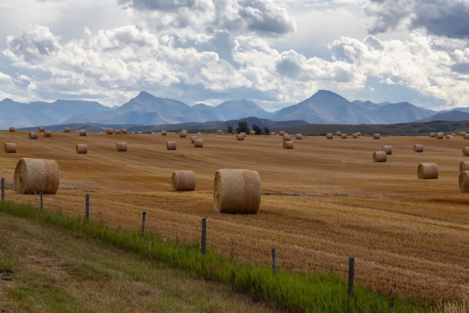 farm living