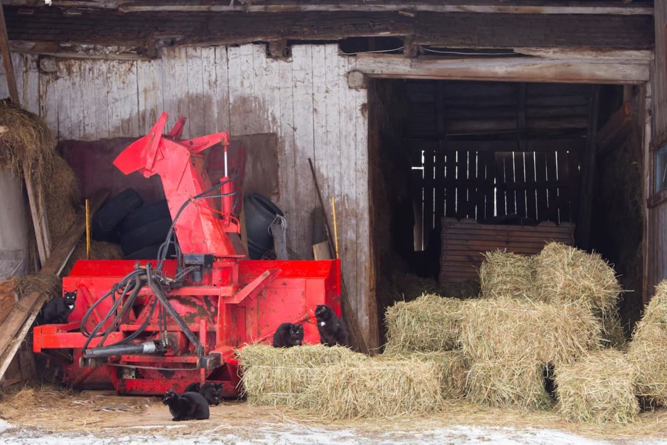 farmingfuture