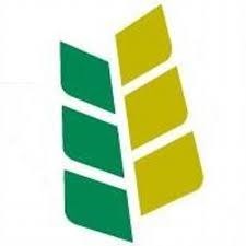 saskwheat