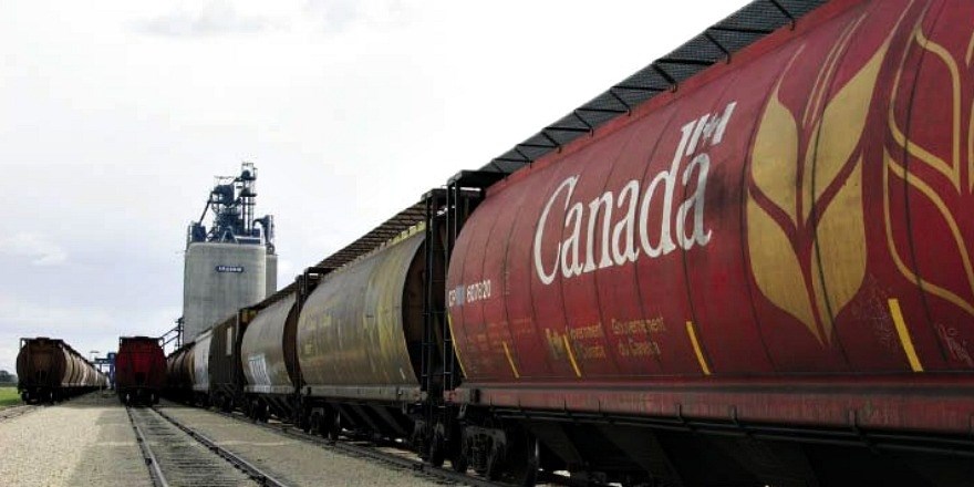 GRAIN_TRANSPORTATIONcc