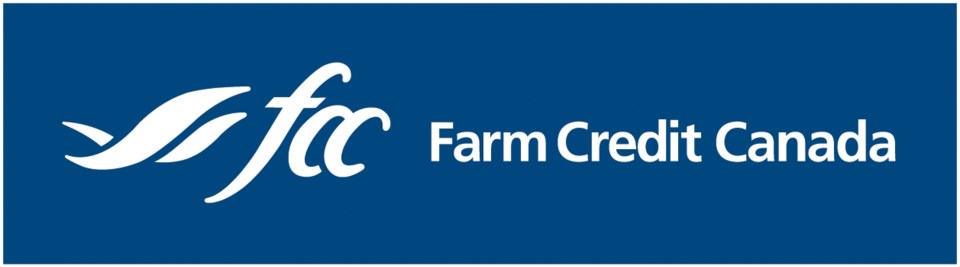 FCCNEW