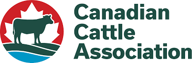 cca