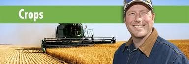 mb crop