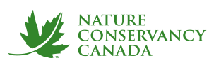 ncc