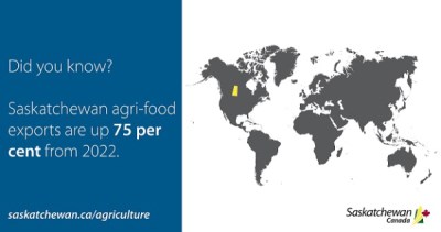 2023 Exports Infographic