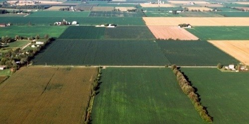 CROPScc (resize)