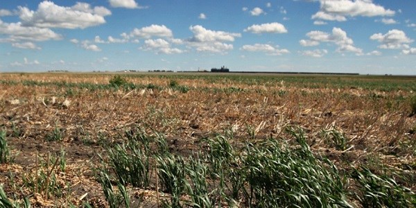 DRY_FIELDS_SK (resize)