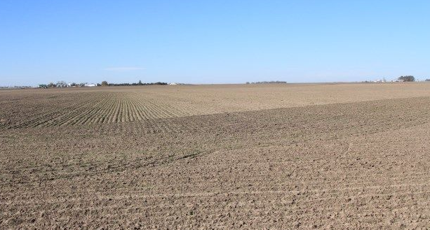 FARM_DRY