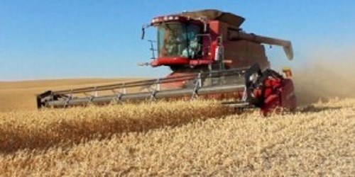 HARVEST_PULSE_CROPcc (resize)