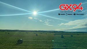 Sunny Field