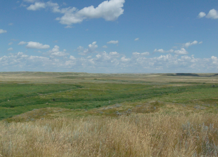 GRASSLANDSc