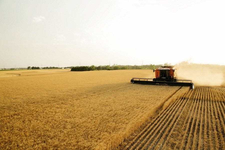 HARVEST (resize)